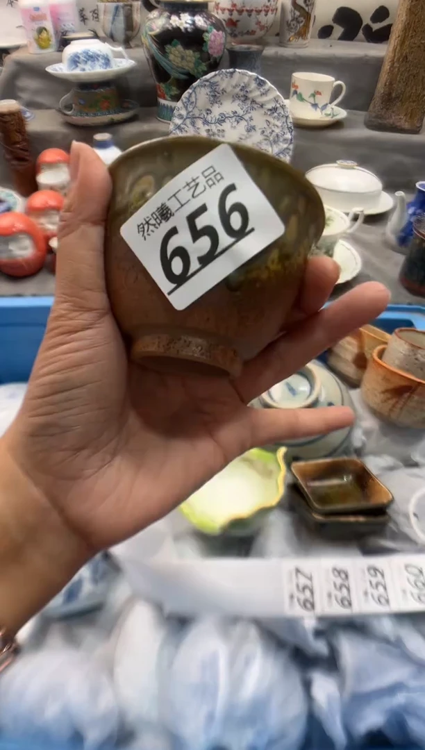 瓷片柏*656