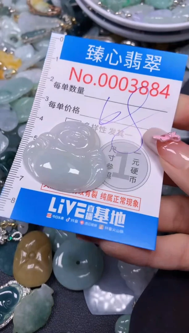 【闪购商品】翡翠颈饰未镶嵌含绳0003884