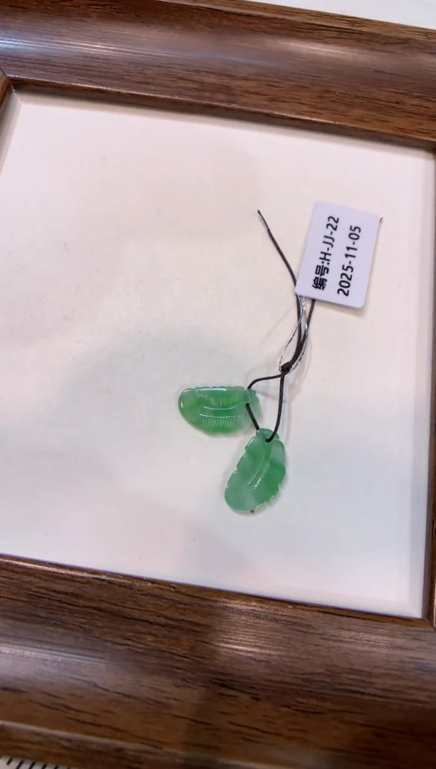 颈饰未镶嵌翡翠羽毛