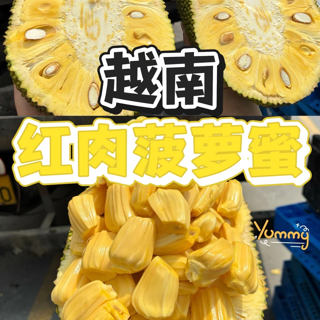 【半果】越南红肉菠萝蜜 老树自然熟 香甜脆 默认去芯