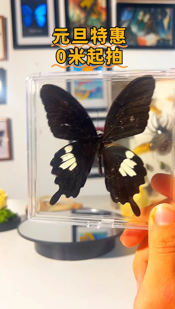 有机玻璃654987894689