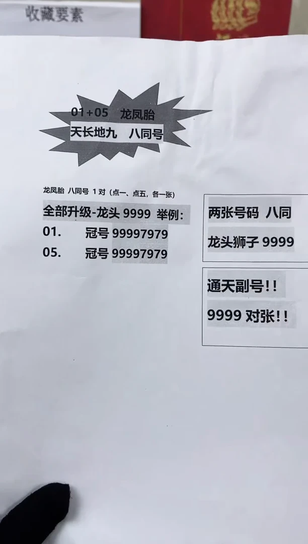 【通天狮子9】龙凤胎.册 对张福利