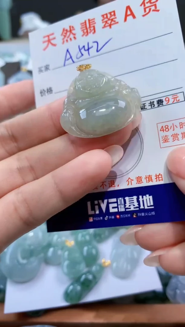 颈饰未镶嵌翡翠天然翡翠A货挂件