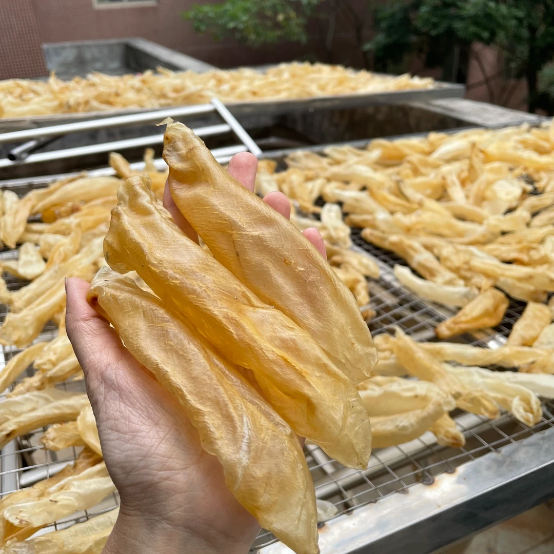 52头厚肉甲肚筒干花胶鱼胶口感Q弹爽口