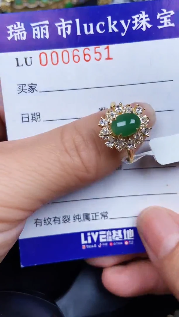 翡翠银S925镶嵌颈饰6651