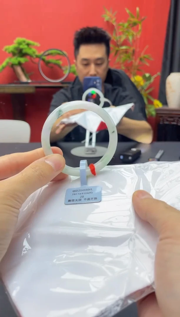 未镶嵌手镯翡翠12