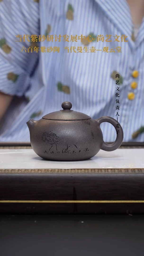 茶壶紫砂天青泥 西施