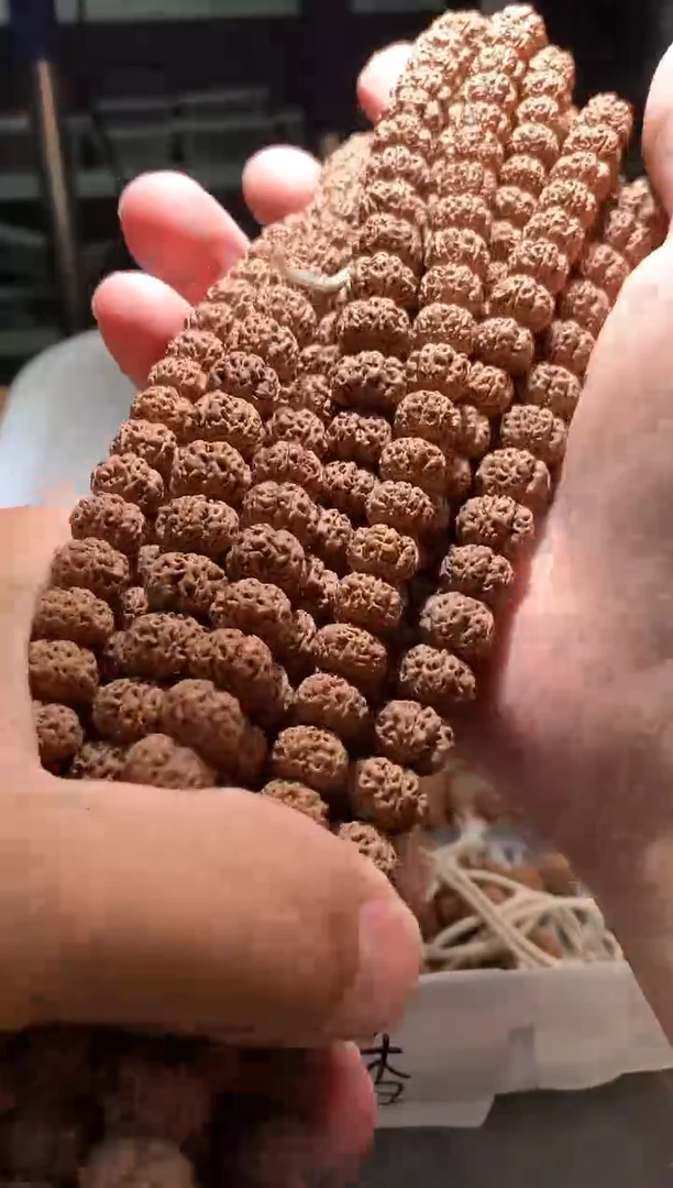 金刚菩提手串836