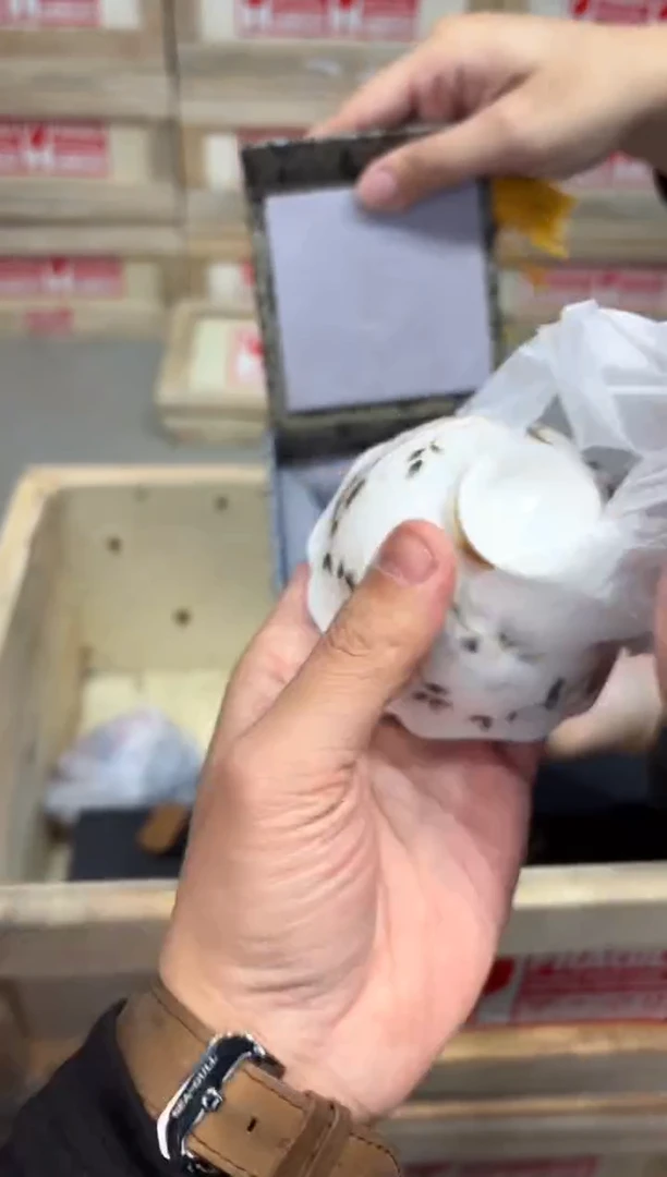 瓷片@@@@@@@@@@@@@@3720