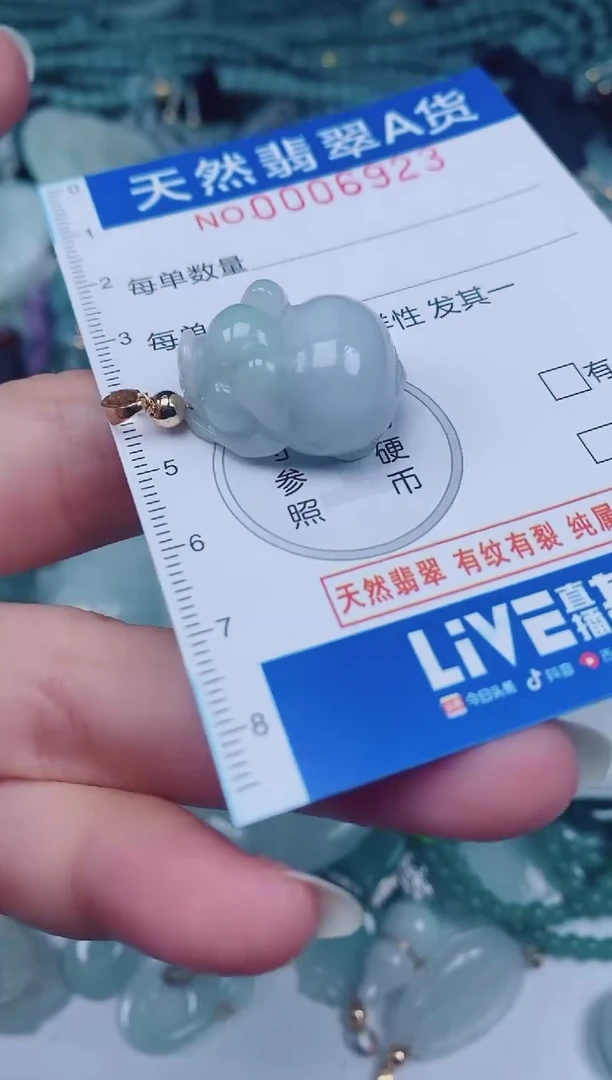 颈饰未镶嵌翡翠00006923