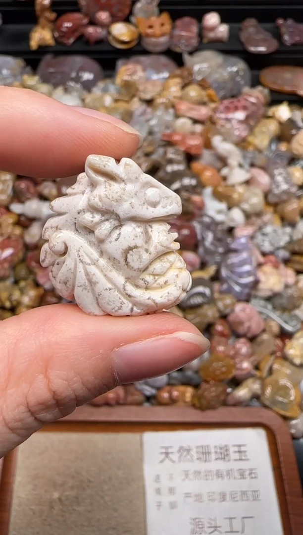 硅化珊瑚（珊瑚玉）未镶嵌颈饰666