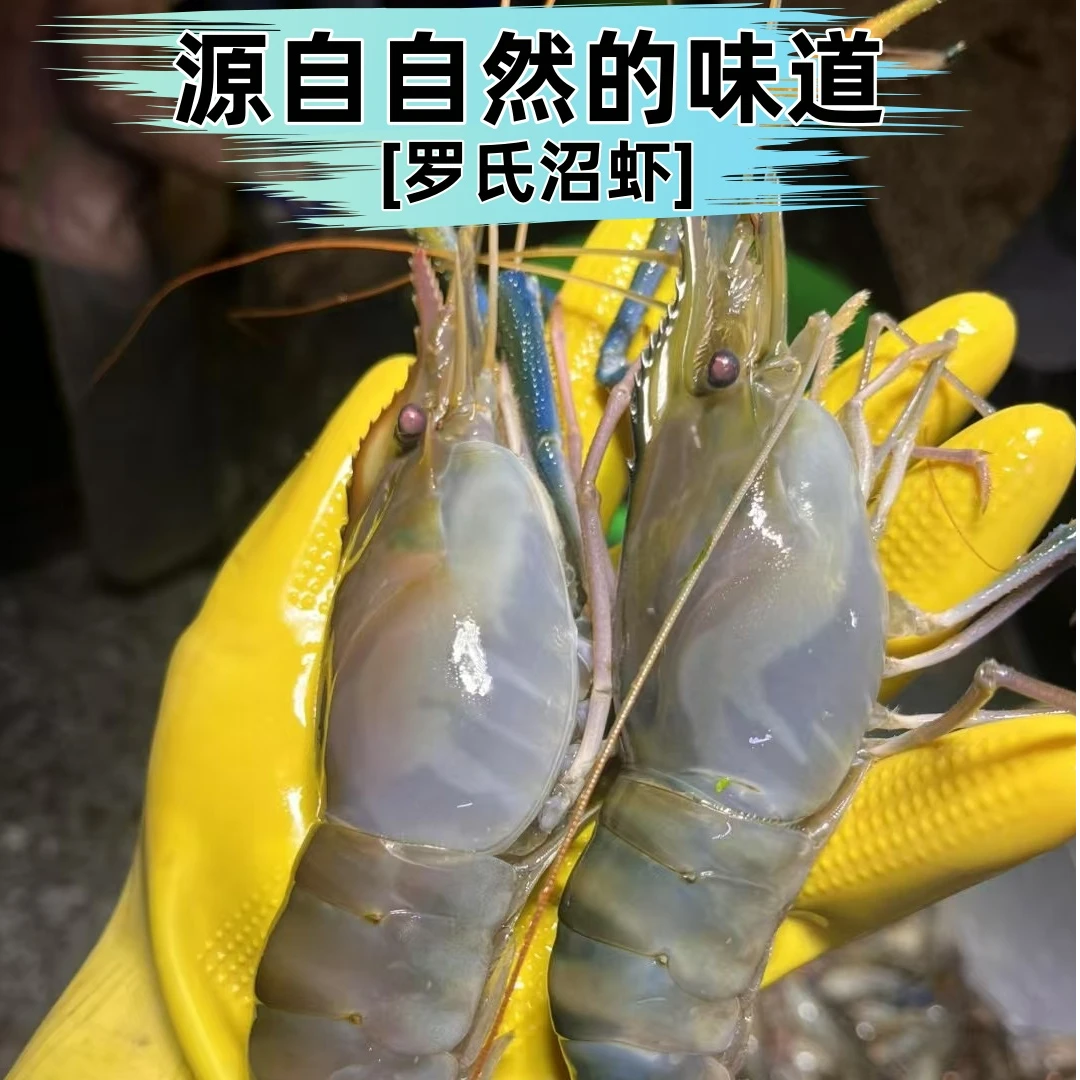 【顺丰3斤】16-20头/斤鲜活淡水虾速冻罗氏沼虾特大头虾新鲜大虾