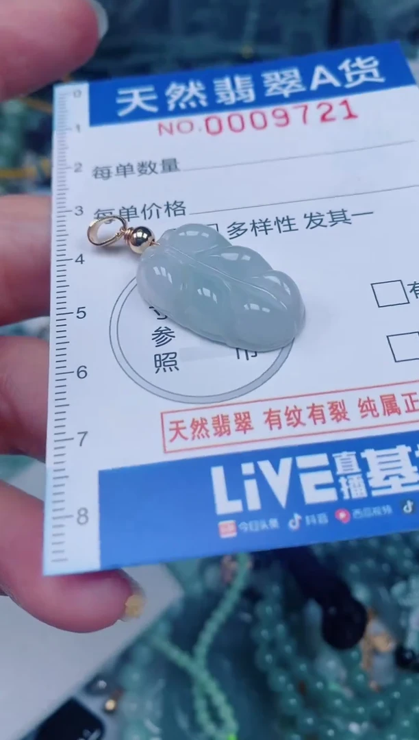 颈饰未镶嵌翡翠00009721