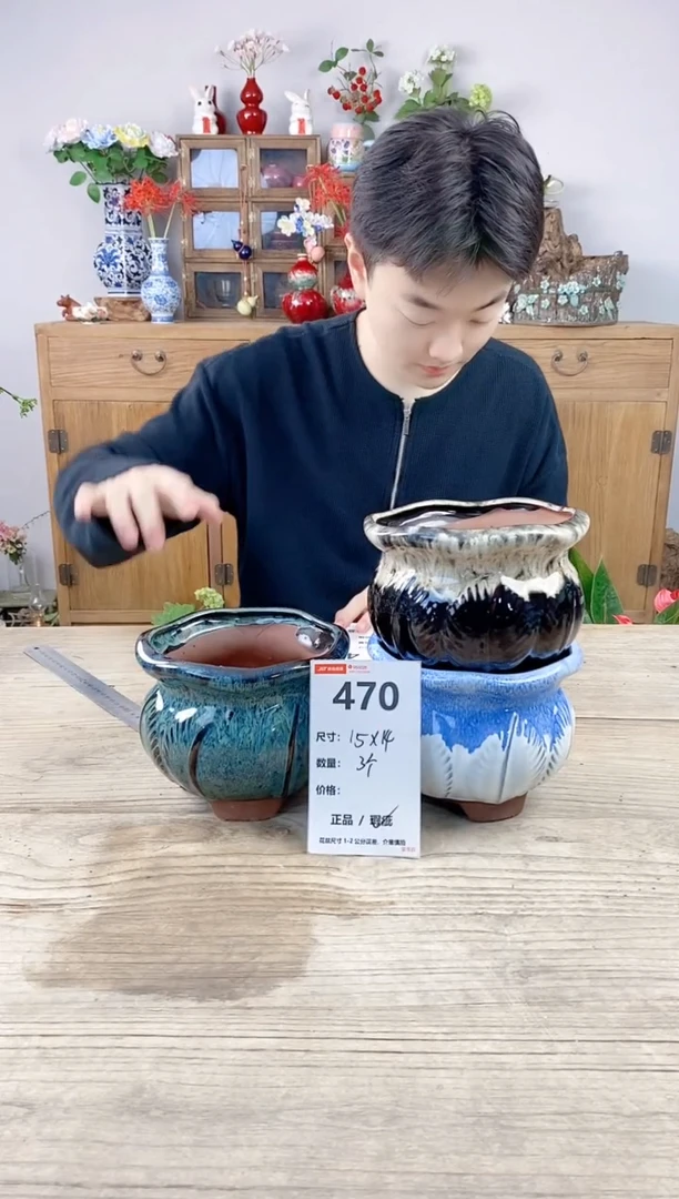小玩子花盆直播号470
