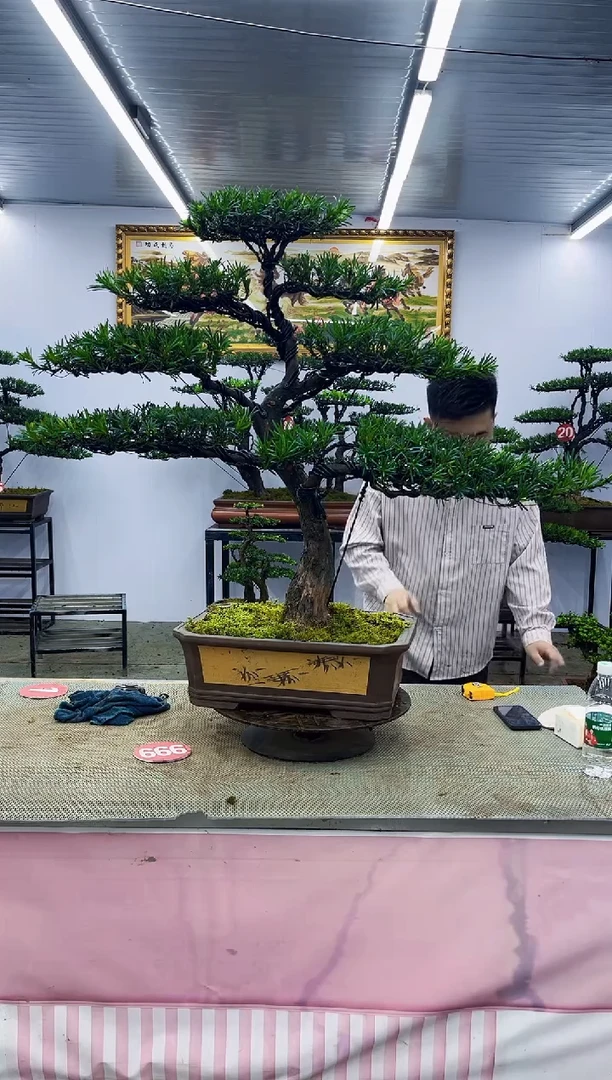 无花朵一物一拍，所见即所得