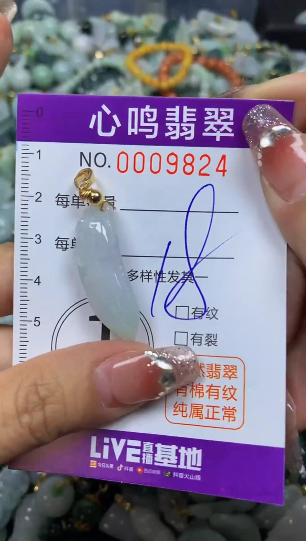 【闪购商品】翡翠颈饰未镶嵌闪购009824