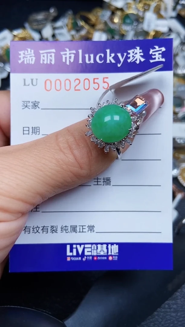 翡翠银S925镶嵌颈饰2055