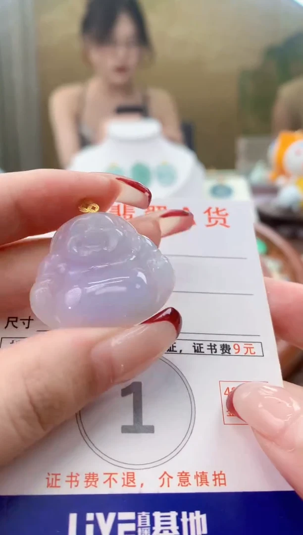 颈饰未镶嵌翡翠天然A货翡翠挂件