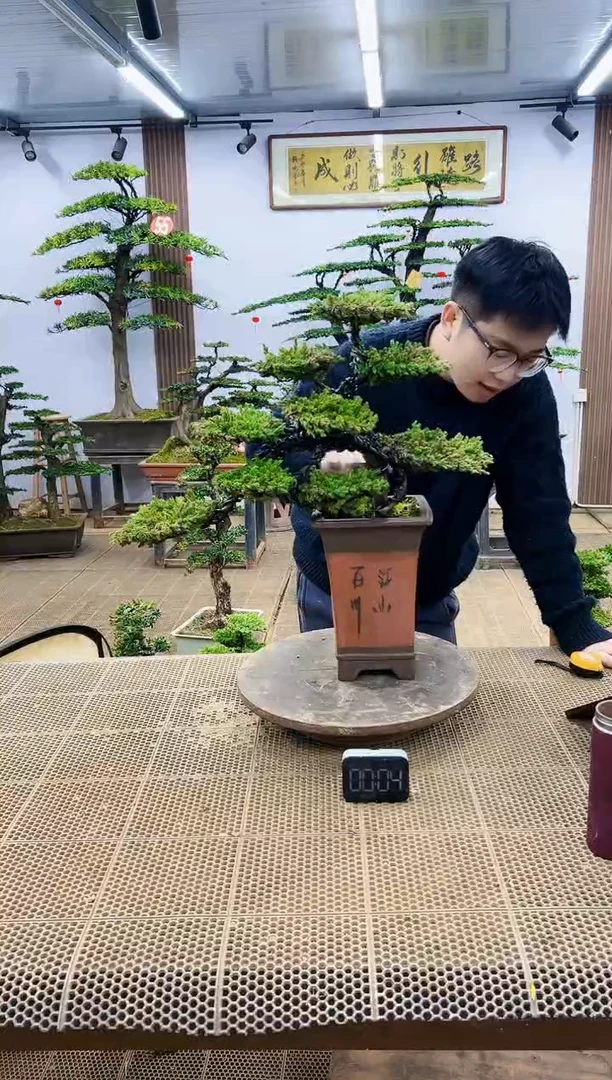 【闪购商品】00000