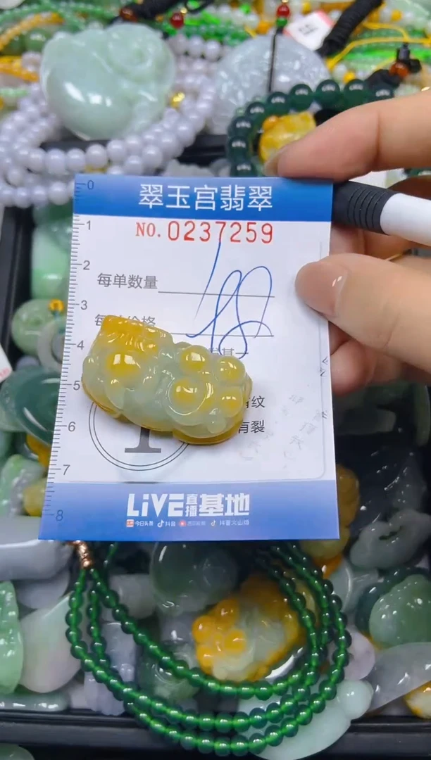 颈饰未镶嵌翡翠闪购C0237259