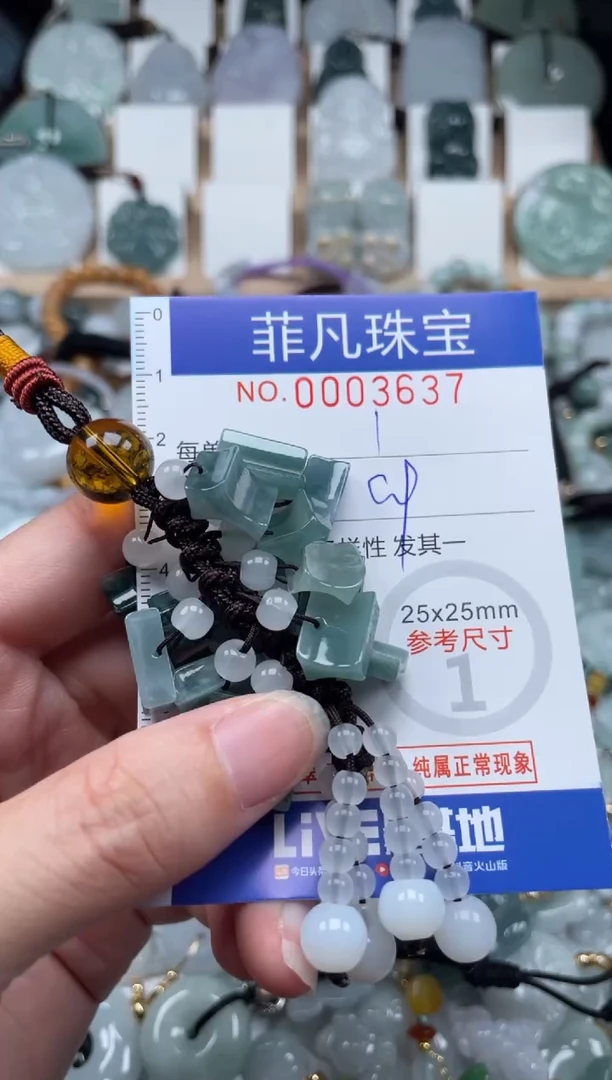 翡翠未镶嵌颈饰00..3637