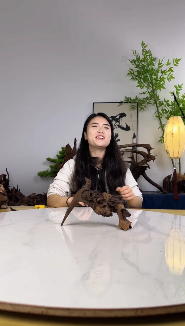 ?****?拍沉木定向链接编号51