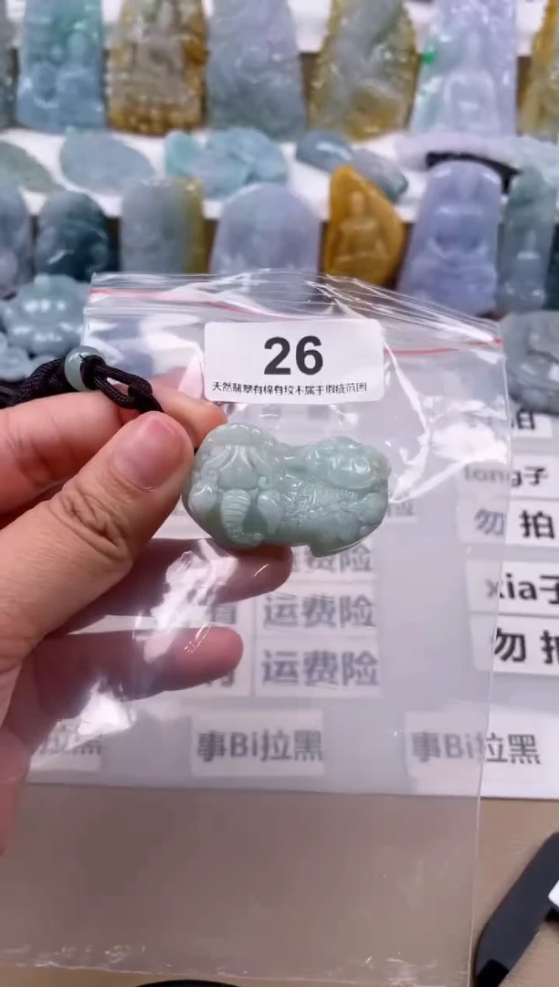 【闪购商品】翡翠颈饰未镶嵌天然缅甸A货翡翠多样性发一貔貅26