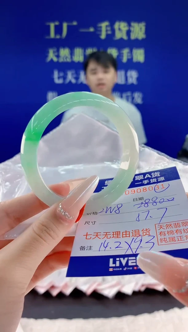 未镶嵌手镯翡翠31