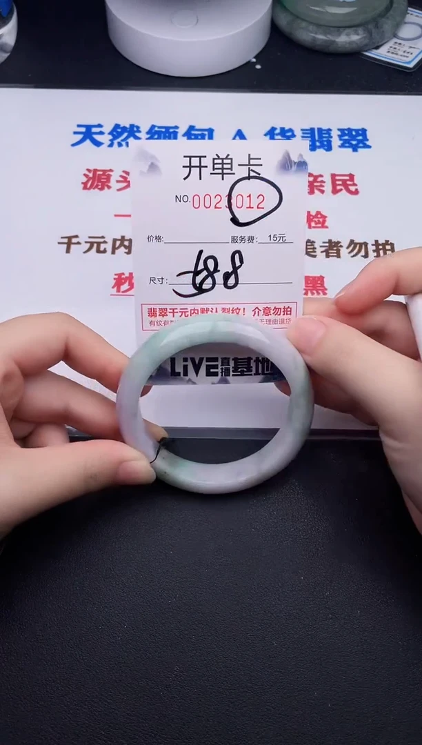 未镶嵌手镯翡翠12