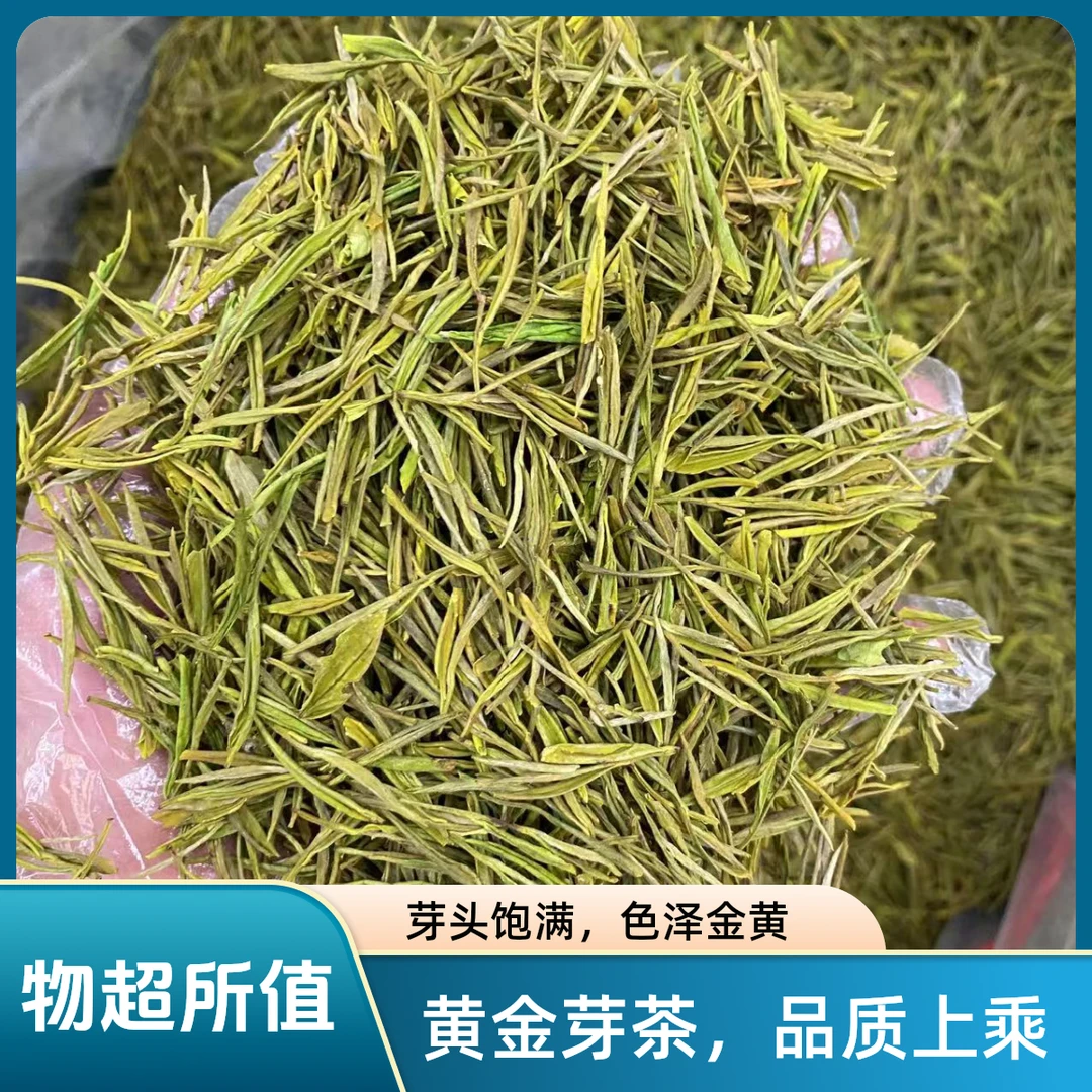 【2025年新茶】黄金芽 原产地安吉高山黄金芽-浓香兰香 250g/500g