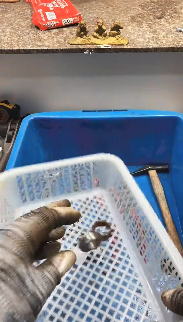 无**下麻嘎子工具闪购链接一物一拍