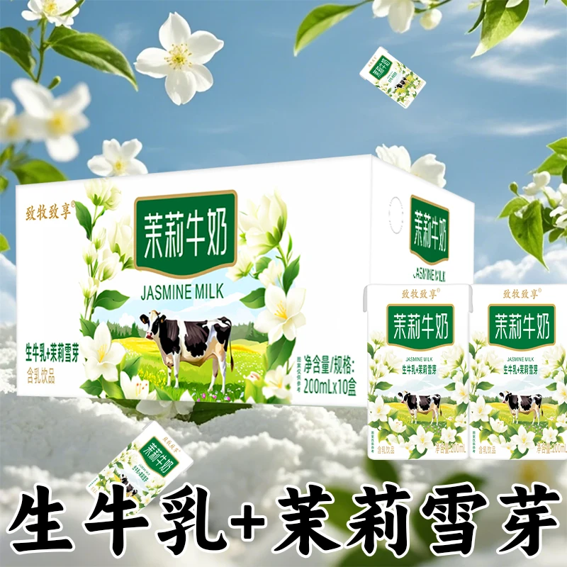 【尝鲜10盒装】茉莉牛奶200ml*10盒花香不腻便携小瓶装整箱批发
