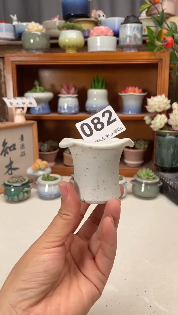 瓷片082知木小芳花盆