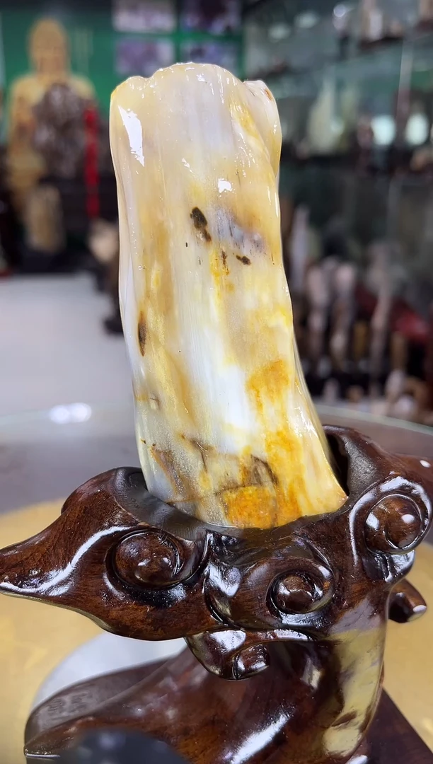 未镶嵌珠宝奇石硅化玉缅甸天然树化玉摆件