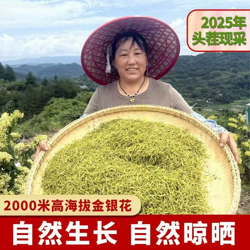 【可试喝30g】正宗新货金银花无绒可用于泡水高山金银花头茬