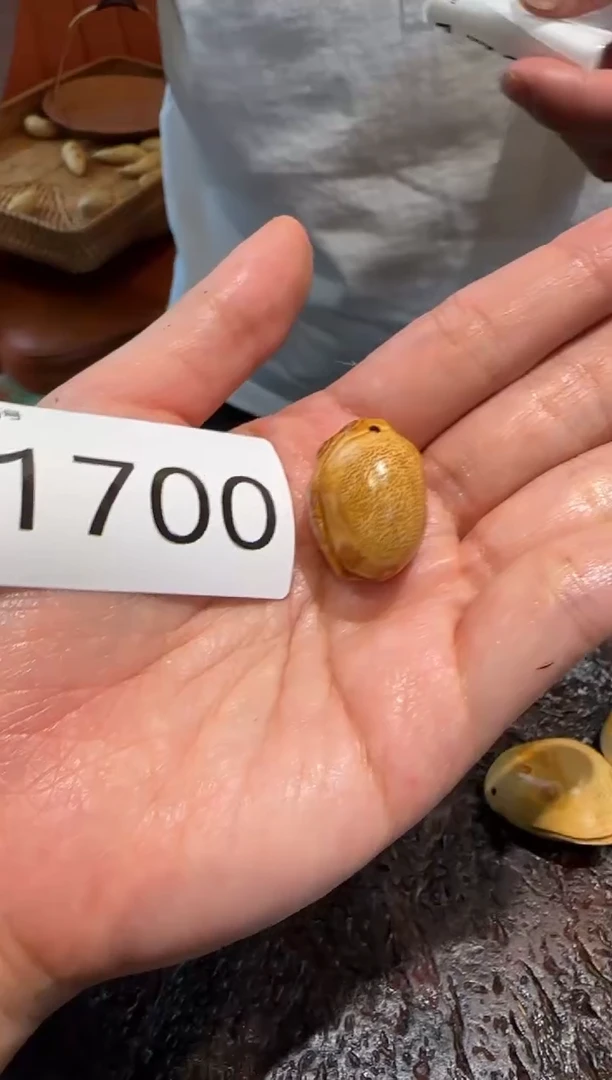 【闪购商品】竹1700竹根竹根竹根竹根