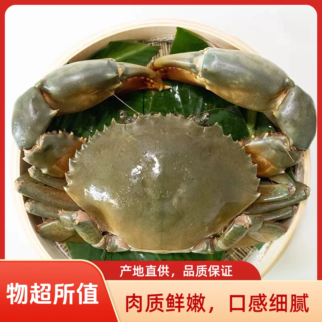 鲜活青蟹肉蟹 膏蟹1只450-500g蟹同城配送