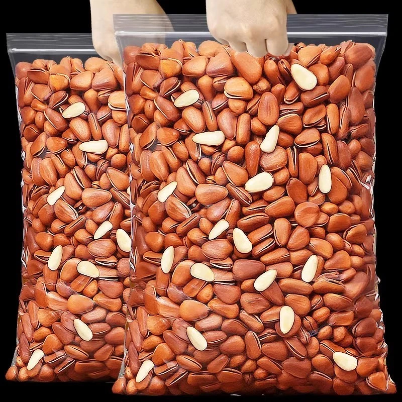 年货【买半斤送半斤】东北松子500g特大颗粒松子坚果零食特产