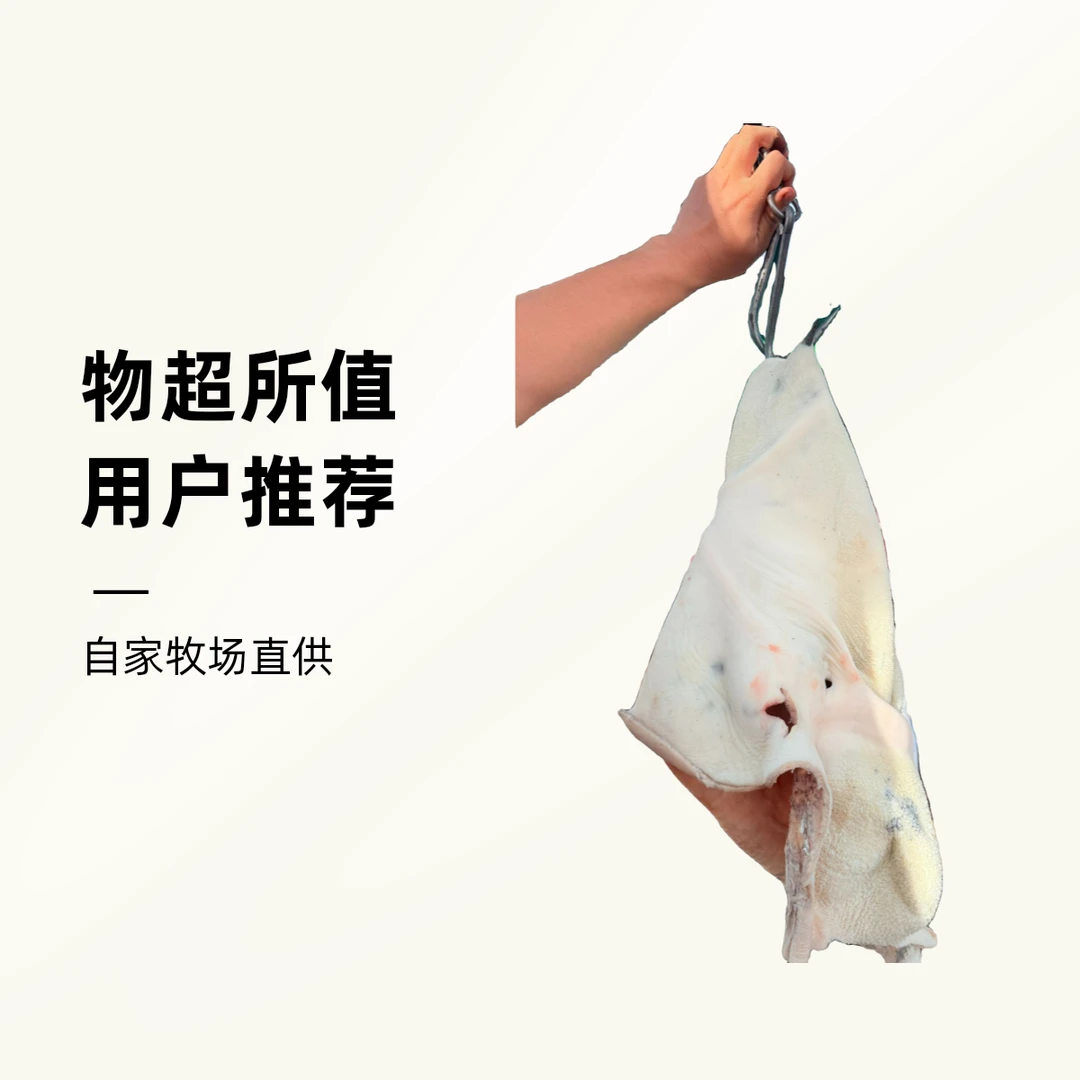 尚清源臻选牛肚（炖汤）2.5kg