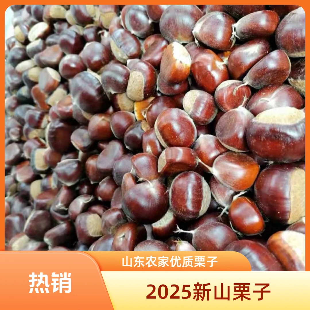【推荐小油栗通果】新鲜板栗油栗口感浓香粉糯香甜3斤5斤板栗新鲜