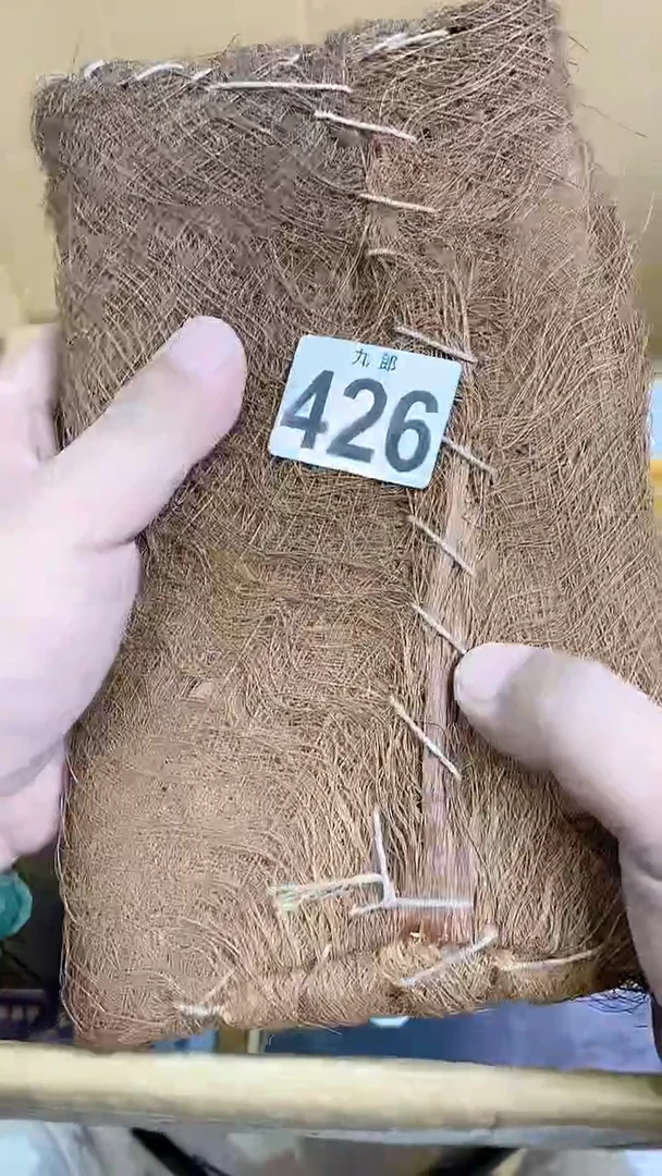 【闪购商品】瓷片426微尘尘破微尘尘破