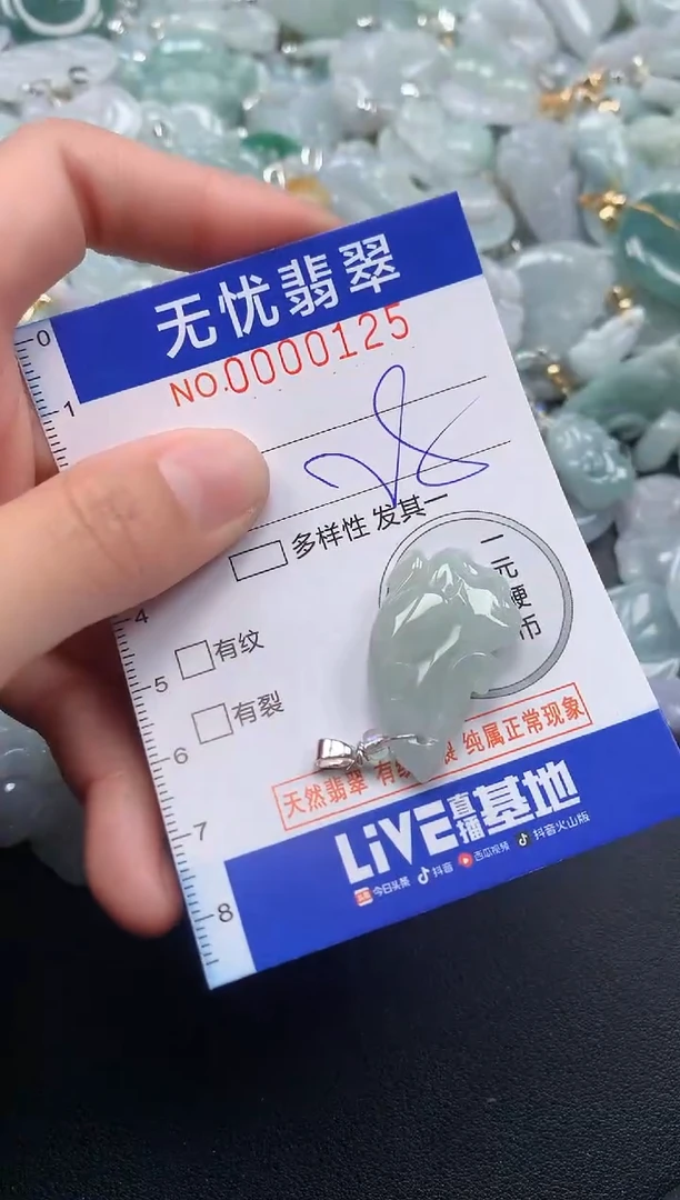 颈饰未镶嵌翡翠125