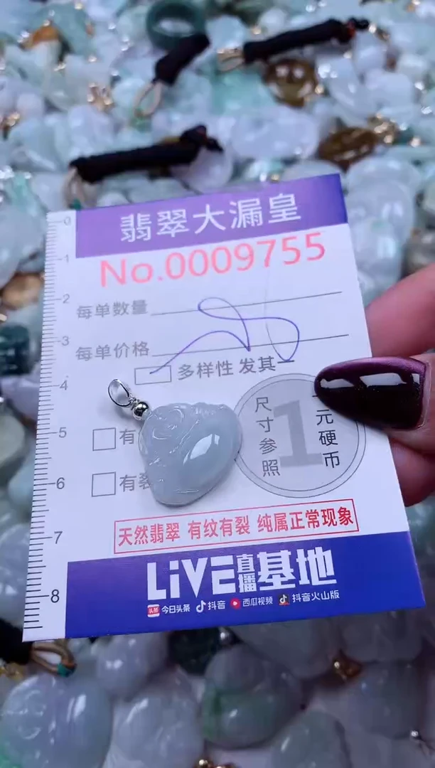 颈饰未镶嵌翡翠9755
