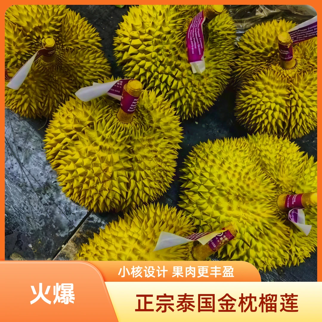 【保五房!】金枕鲜榴莲(核小肉厚)一果一重 31.8元500g同城配金枕泰国