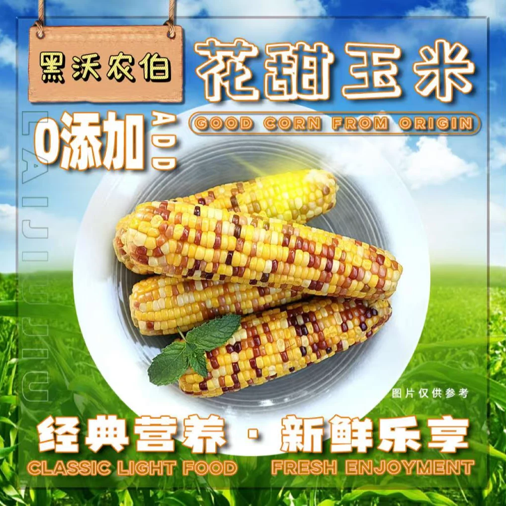 精品新鲜花玉米棒，真空独立锁鲜包装，香甜软糯，单只240g以上