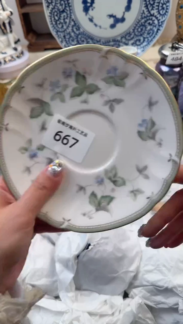 【闪购商品】瓷片B           667