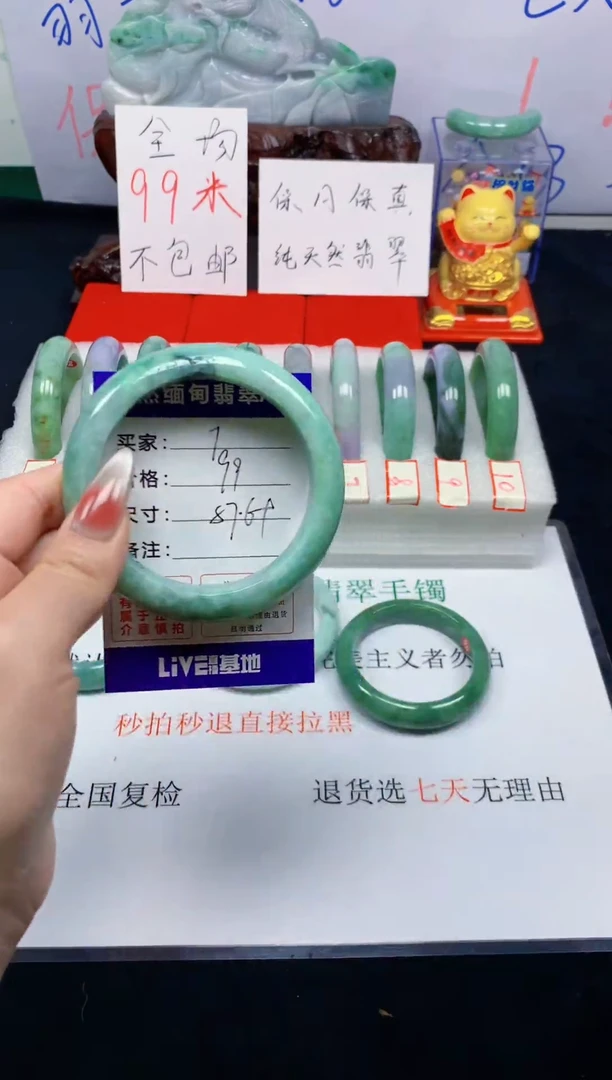 未镶嵌手镯翡翠7