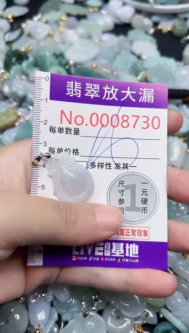 颈饰未镶嵌翡翠8730