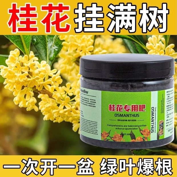 【桂花专用肥】家用盆栽花卉颗粒营养液桂金通用型四季通用桂花树
