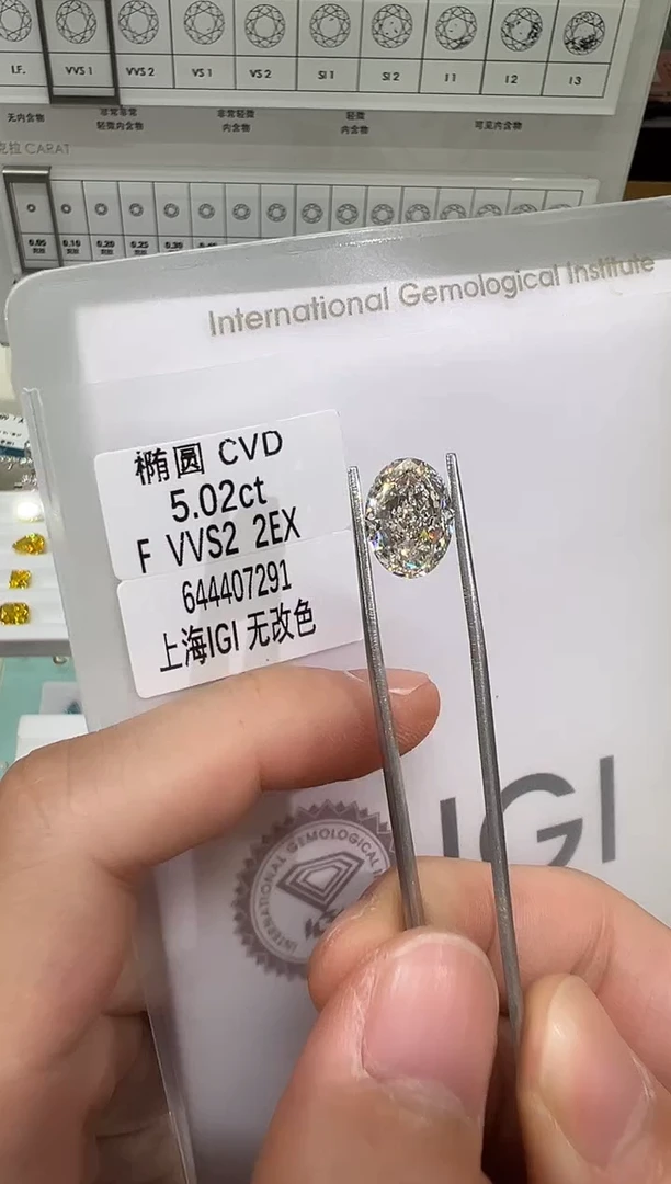 【闪购商品】实验室培育钻石未镶嵌@ 5.02ct 先鉴赏，再定制！